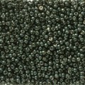 10 g 11/0 Seedbeads, Duracoat Galvanized Black Moss 