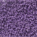  10 g 11/0 Seedbeads, Duracoat Galvanized Dark Lilac 