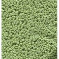  10 g 11/0 Seedbeads, Duracoat Opaque Dyed Spring Green 