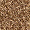  10 g 11/0 Seed Beads, Duracoat Galvanized Champagne 