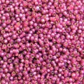  10 g 8/0 Seed beads, Duracoat Silverlined Fuchsia 