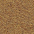  10 g 6/0 Seedbeads Duracoat Galvanized Gold 