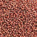  10 g 11/0 Seedbeads, Duracoat Siverlined Copper 
