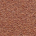  10 g 15/0 Seed Beads, Duracoat Galvanized Muscat 