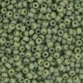  10 g 8/0 Seedbeads, Frosted Opaque Glaze Rainbow Kiwi 