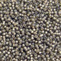  10 g 8/0 Seedbeads, Duracoat Silverlined Charcoal 