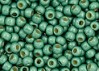  10 g 11/0 TOHO Seedbeads, PF- Matte Galvanized Jade Green 